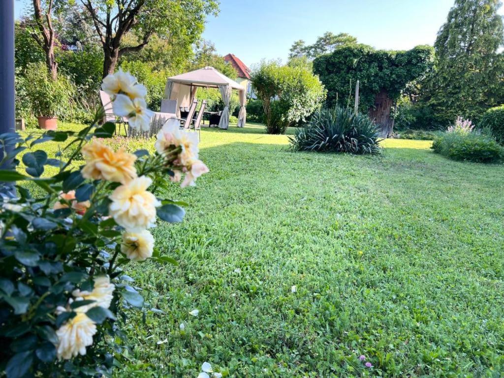 Appartment Rosengarten Baden Buitenkant foto